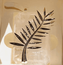 Troféu Cannes